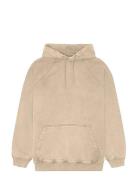 Wbpaw Washed Hoodie Woodbird Beige