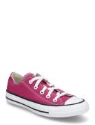 Ctas Ox Berry Smoothie Converse Pink