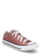 Ctas Ox Light Saddle Converse Pink