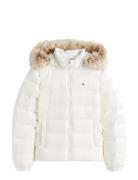 Tjw Basic Hooded Down Jacket Ext Tommy Jeans White