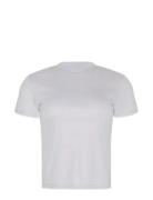 Ss Supima Crewneck Calvin Klein White