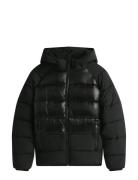 Tjm Hooded Gloss Matt Puffer Ext Tommy Jeans Black