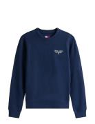 Tjw Reg Ess Logo 1 Crew Ext Tommy Jeans Navy