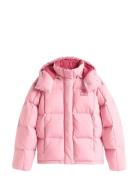 Tjw Alaska Grid Down Jacket Ext Tommy Jeans Pink