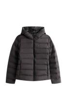 Tjw Slim Hood Prnt Down Jckt Ext Tommy Jeans Black