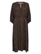 Sc-Aster Soyaconcept Brown