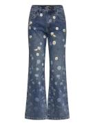 Daisys Desigual Blue