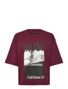 Cmmuse-Tee Copenhagen Muse Burgundy