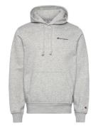 Hooded Sweatshirt Champion Grey