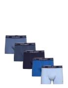 Miller Lyle & Scott Blue