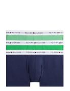 3P Trunk Tommy Hilfiger Green