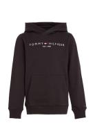 Essential Hoodie Tommy Hilfiger Black