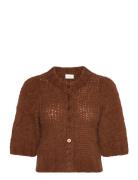 Vernonapw Ca Part Two Brown