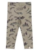 Legging Printed Petit Piao Khaki