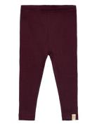 Legging Modal Petit Piao Burgundy