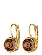 Louise Sg Brown Dyrberg/Kern Gold