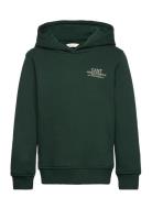 Graphic Hoodie GANT Green