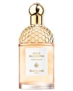 Guerlain Aqua Allegoria Pamplelune EDT 75 ml