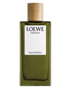 Loewe Esencia EDP 100 ml