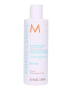 Moroccanoil Moisture Repair Conditioner 250 ml