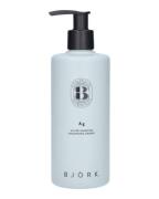 Björk Ag Silver Shampoo (Stop Beauty Waste) 300 ml