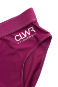 ColourWear Women's High Waist Bikini Bottom Purple