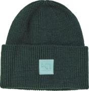 Kari Traa Women's Kyte Beanie (2020) Pine