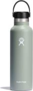 Hydro Flask Standard Mouth Flex 621 ml Agave