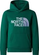 The North Face Boys' Drew Peak Hoodie Evergreen