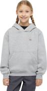Dickies Kids' Oakport Hoodie Heather Gray