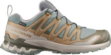 Salomon Men's XA 3D Pro V9 GORE-TEX Sedona Sage/Plantation/Paloma