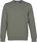 Colorful Standard Classic Organic Crew Mand Dusty Olive Sweatshirts St...