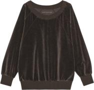 Moshi Moshi Mind Joline Sweat Velvet Kvinde Dark Brown Langærmede Blus...