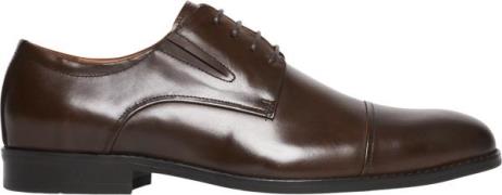 TGA by Ahler Derby Shoe Mand Brown Business Sko Str 41 - hos Magasin