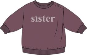 The New Tnsmolly Sweatshirt Str 80 cm - Crushed Berry Sweatshirts hos ...