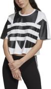 adidas Large Logo Cropped Tshirt 40 - Trænings T-shirts Bomuld hos Mag...