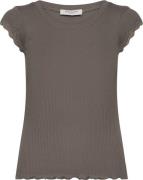 Rosemunde Short Sleeve top w/ Lace Kvinde Falcon Kortærmede T-shirts S...