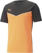 Puma Individualrise Trænings Tshirt L - T-shirts hos Magasin