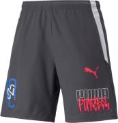 Puma Neymar Jr Futebol Træningsshorts L - Træningsshorts hos Magasin