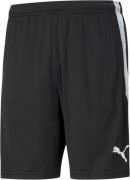 Puma Teamliga Training Shorts L - Træningsshorts hos Magasin