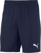 Puma Teamgoal 23 Knit Shorts L - Træningsshorts hos Magasin