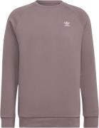 adidas Adicolor Essential Trefoil Crewneck Sweatshirt Mand Pink Sweats...