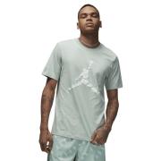 Nike Jordan Essentials Tshirt Mand Pistachio Frost/white Kortærmede T-...