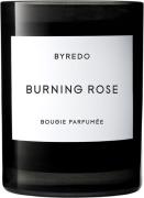 BYREDO FC Burning Rose Kvindeduft 240GR - Duftlys hos Magasin