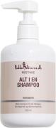 Pudderdåserne Pudderdåserne Alt I en Shampoo 500 ml 500 ml - Shampoo h...