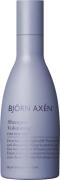 Björn Axén Volumizing Shampoo 250 ml 250 ml - Shampoo hos Magasin