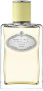 Prada Prada Infusion de Gingembre Eau de Parfum 100ml Kvindeduft 100 m...