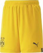 Puma Dortmund 22/23 Spillershorts 164 - Træningsshorts hos Magasin