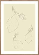 Poster & Frame Simple Lemon Flerfarvet Str 50x70 - Plakater hos Magasi...