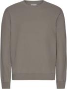 Colorful Standard Classic Organic Crew Mand Misty Brown Sweatshirts St...